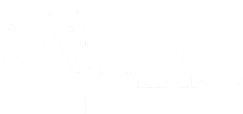 Alpha Trans Ltd