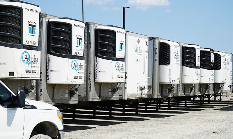 A row of Alpha Trans Thermo King reefer trailers in the yard